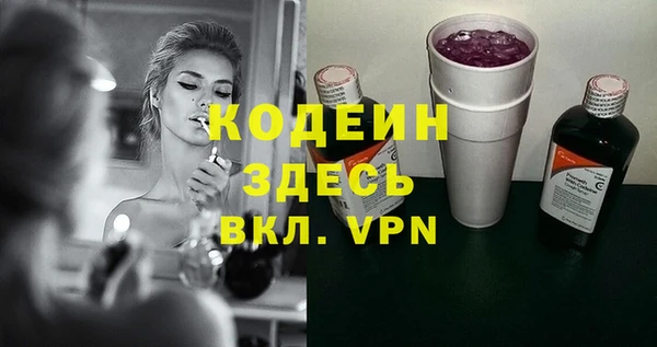 мдпв Тобольск