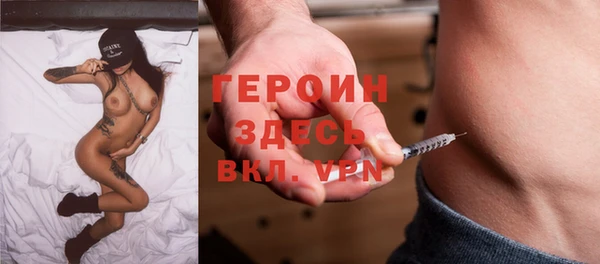 стаф Тайга