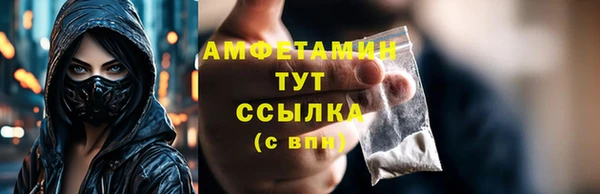мдпв Тобольск