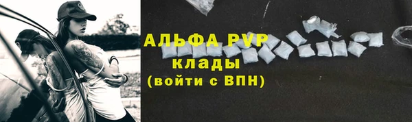 мдпв Тобольск