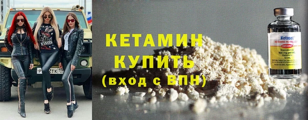стаф Тайга