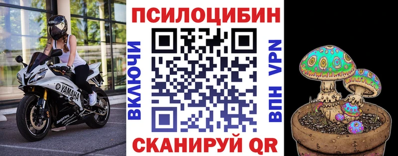 Галлюциногенные грибы Psilocybine cubensis  Купить закладки  Нерехта 