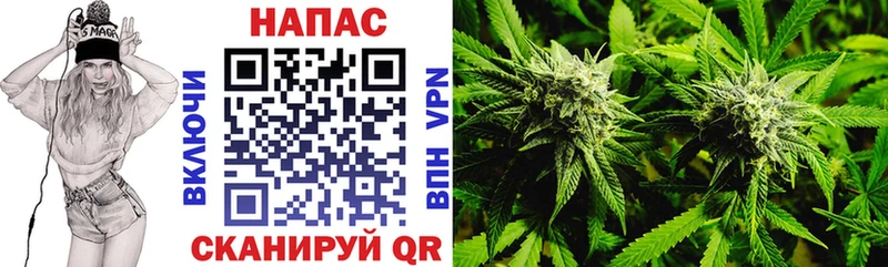 Каннабис OG Kush Нерехта